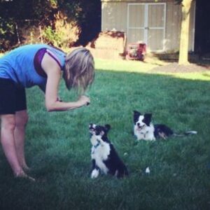 Philadelphia dog training programs that give dogs mentally stimulation to prevent behavior problems!